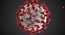 Morphology of Coronavirus. Image by Center for Disease Control (CDC)