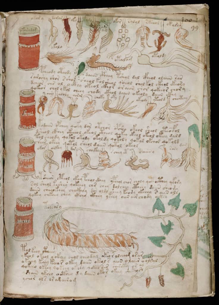 Voynich Manuscript Illustrations - Beinecke Library, Yale University