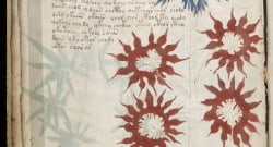 Voynich Manuscript from Beinecke Rare Book & Manuscript Library, Yale University