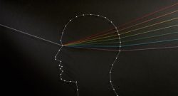 Image of a human head depicting neuroscience