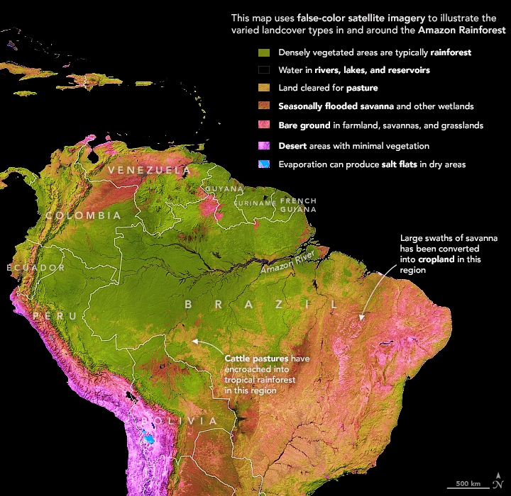 False colour satellite imagery showing landcover types in and around the Amazon Rainforest