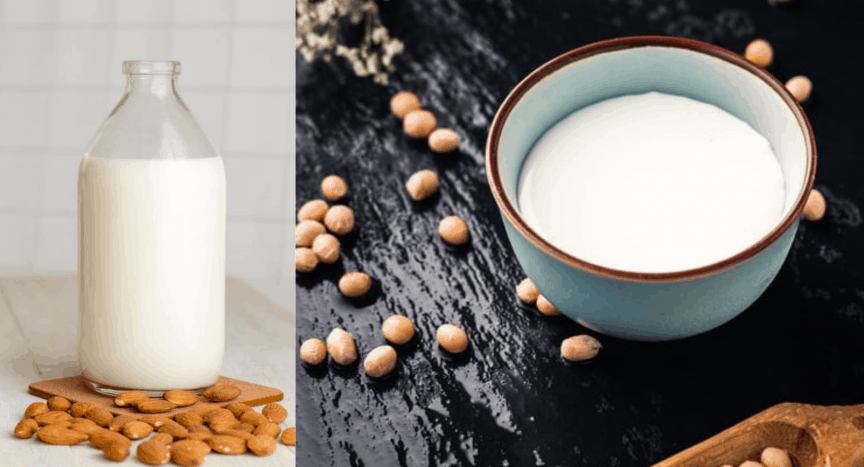 Collage of a bottle of almond milk with almonds around it and a bowl of soy milk with soy beans spread around. Image for the Green Eating Fat, posted by 360onhistory.com