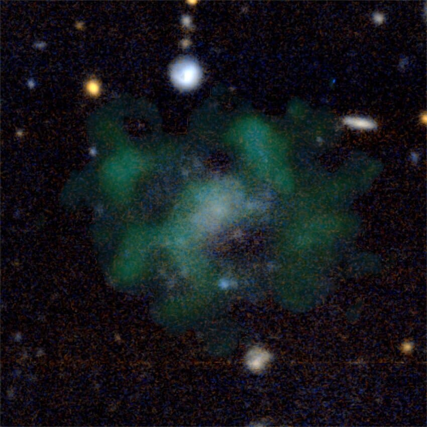The galaxy AGC 114905. The stellar emission of the galaxy is shown in blue. The green clouds show the neutral hydrogen gas. The galaxy does not appear to contain any dark matter, even after 40 hours of detailed measurements with state-of-the-art telescopes. Credit: (c) Javier Román & Pavel Mancera Piña