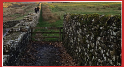 Remains of Hadrian's Wall, Northumberland, England