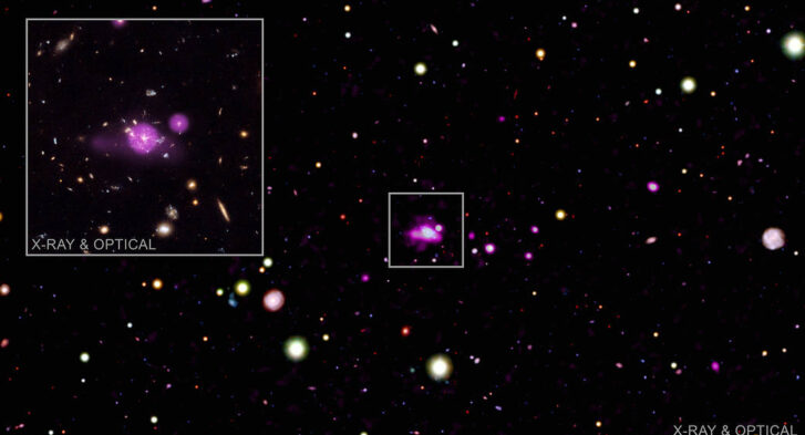 The 14 active SMBHs, with the Spiderweb Galaxy in the center captured by Chandra Space Obervstory. (NASA/CXC/INAF/P. Tozzi et al./NAOJ/NINS/STScI)