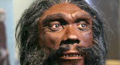 Reconstruction of the head of an adult male Homo heidelbergensis on display in the Hall of Human Origins in the Smithsonian Museum of Natural History in Washington DC Source World History Encyclopedia
