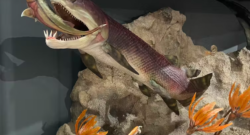 Artist's impression of a Placoderm a prehistoric class of fish from the Devonian period. Here it has its jaws open read to snap over a smaller fish.