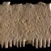 Canaanite fine toothed ivory comb discovered in 2017 and now revealed to have the oldest known inscription in the Phoenician writing system that eventually evolved into the alphabet we and so many other cultures use today. CREDIT: DAFNA GAZIT, ISRAEL ANTIQUITIES AUTHORITY