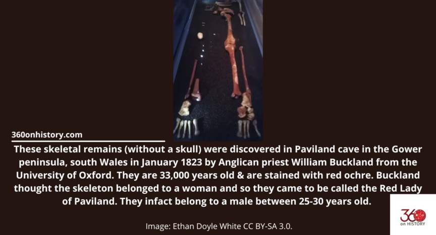 Skeletal remains of the Red Lady of Paviland with text below saying: These skeletal remains (without a skull) were discovered in Paviland cave in the Gower peninsula, south Wales in January 1823 by Anglican priest William Buckland from the University of Oxford. They are 33,000 years old & are stained with red ochre. Buckland thought the skeleton belonged to a woman and so they came to be called the Red Lady of Paviland. They infact belong to a male between 25-30 years old. Image: Ethan Doyle White CC BY-SA 3.0.