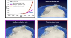 Sea level rise contributions from the Antarctic and Greenland ice sheets, and maps of projected 2150 CE Antarctic ice sheet surface elevation following different greenhouse gas emission scenarios (SSP1-1.9, strong emission cuts; SSP2-4.5, medium emission cuts; SSP5-8.5, weak emission cuts). Credit: Institute for Basic Science, Jun-Young Park