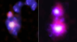 Two composite images presented side by side, separated by a thin white line. The image on our left features two colliding dwarf galaxies in the late stages of merging into one larger galaxy. The image on our right features two colliding dwarf galaxies in the early stages of merging. In the first pair of dwarf galaxies, on our left, a pale pink shape sits inside a hazy indigo blue cloud. The cloud contains neon pink streaks, and faint white specks. This cloud represents gas and stars in the merging galaxies. The pale pink shape at its core represents a black hole being tracked by the Chandra X-ray Observatory. Directly above the cloud is a neon pink and indigo circle, representing another black hole, followed by a curving tail of hazy indigo circles flecked with white. This tail, which curves up and to our right, is caused by tidal effects from the ongoing collision. Because these two dwarf galaxies are in the final stages of merging, scientists have given the combined galaxy a single name: Mirabilis. In the second pair of dwarf galaxies, on our right, a neon pink cloud with a bright white circle at its core, sits above a larger companion with the same color configuration. These pink clouds are the dwarf galaxies known as Vinteuil and Elstir. The white cores represent black holes tracked by Chandra. Elstir, the larger neon pink cloud, near the bottom, features wispy tendrils. Several of these tendrils appear to reach up toward the smaller galaxy, Vinteuil, creating a bridge of gas and stars.
