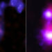 Two composite images presented side by side, separated by a thin white line. The image on our left features two colliding dwarf galaxies in the late stages of merging into one larger galaxy. The image on our right features two colliding dwarf galaxies in the early stages of merging. In the first pair of dwarf galaxies, on our left, a pale pink shape sits inside a hazy indigo blue cloud. The cloud contains neon pink streaks, and faint white specks. This cloud represents gas and stars in the merging galaxies. The pale pink shape at its core represents a black hole being tracked by the Chandra X-ray Observatory. Directly above the cloud is a neon pink and indigo circle, representing another black hole, followed by a curving tail of hazy indigo circles flecked with white. This tail, which curves up and to our right, is caused by tidal effects from the ongoing collision. Because these two dwarf galaxies are in the final stages of merging, scientists have given the combined galaxy a single name: Mirabilis. In the second pair of dwarf galaxies, on our right, a neon pink cloud with a bright white circle at its core, sits above a larger companion with the same color configuration. These pink clouds are the dwarf galaxies known as Vinteuil and Elstir. The white cores represent black holes tracked by Chandra. Elstir, the larger neon pink cloud, near the bottom, features wispy tendrils. Several of these tendrils appear to reach up toward the smaller galaxy, Vinteuil, creating a bridge of gas and stars.