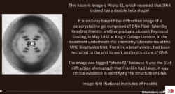 This historic image is Photo 51, which revealed that DNA indeed has a double helix shape!