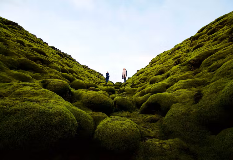 Two people standing between the V-shaped valley between two hills, which are covered with moss. Dylan Shaw/Unsplash