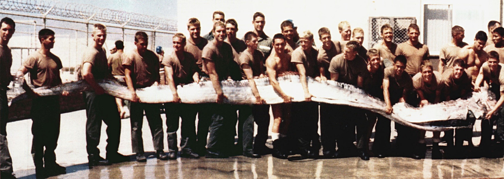 United States Navy SEALS holding a 23-foot (7.0 m) giant oarfish, found washed up on the shore near San Diego, California, in September 1996