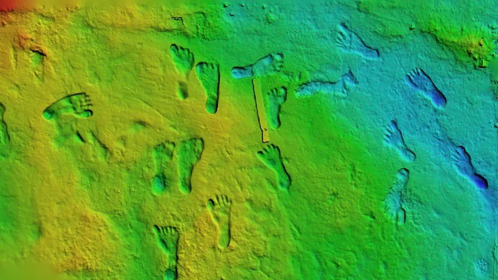 This three-dimensional model highlights footprints across one of the excavated surfaces. The height of the area corresponds to the color, changing from cool greens to warm yellow colors with increasing elevation. PHOTOGRAPH BY DAVID BUSTOS