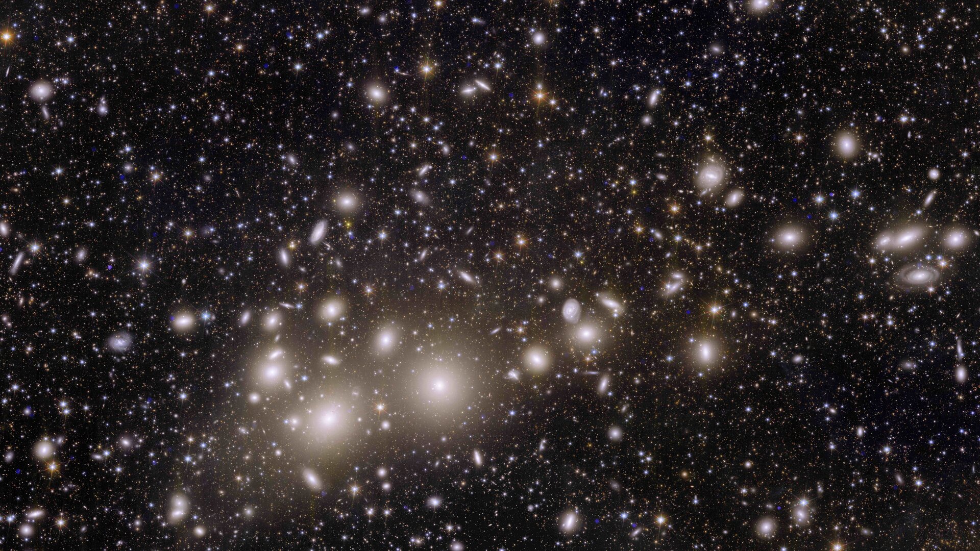 Telescope Euclid’s view of the Perseus cluster of galaxies