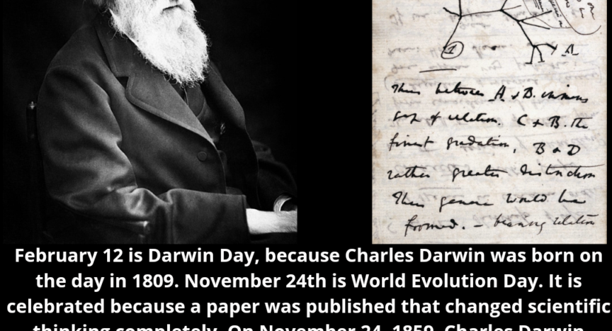 Black and white photo of Charles Darwin in his later years with a beard on the top left. Top right, drawing of Darwin's first evolutionary tree.