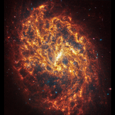 Spiral Galaxy NGC 1087