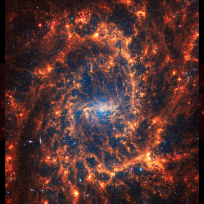 Spiral Galaxy NGC 2835
