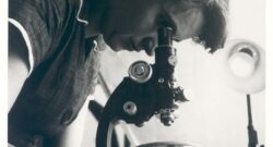 Franklin at work, 1955. She is bent over and looking through a microscope in this black and white image.